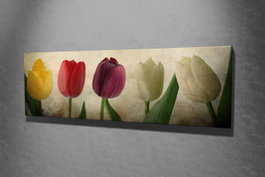 Wallity PC147 Lienzo Decorativo Multicolor 30 x 80 cm